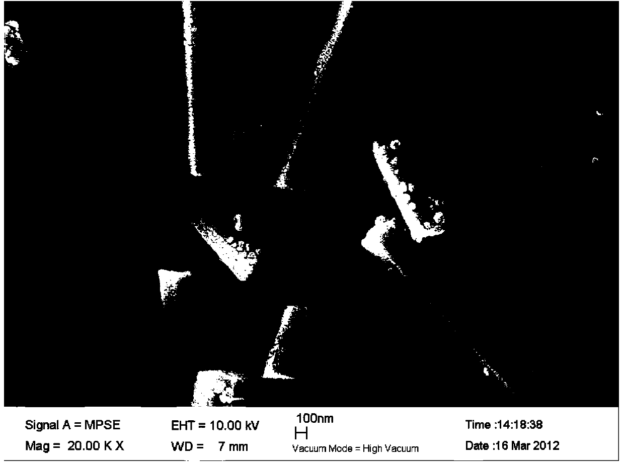 Up-conversion fluorescent molecular imprinted polymer and preparation method thereof