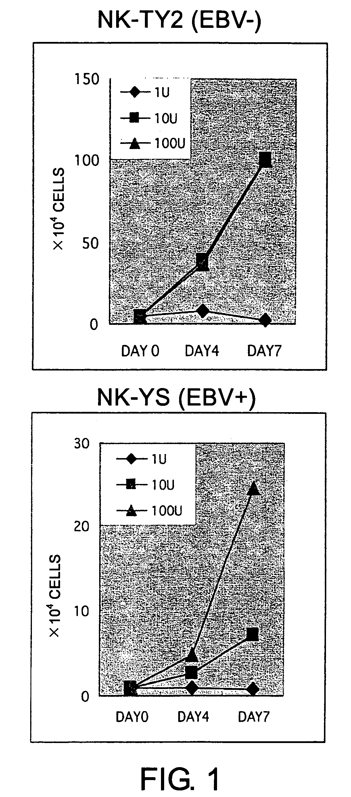 Epstein-Barr virus-negative NK cell line