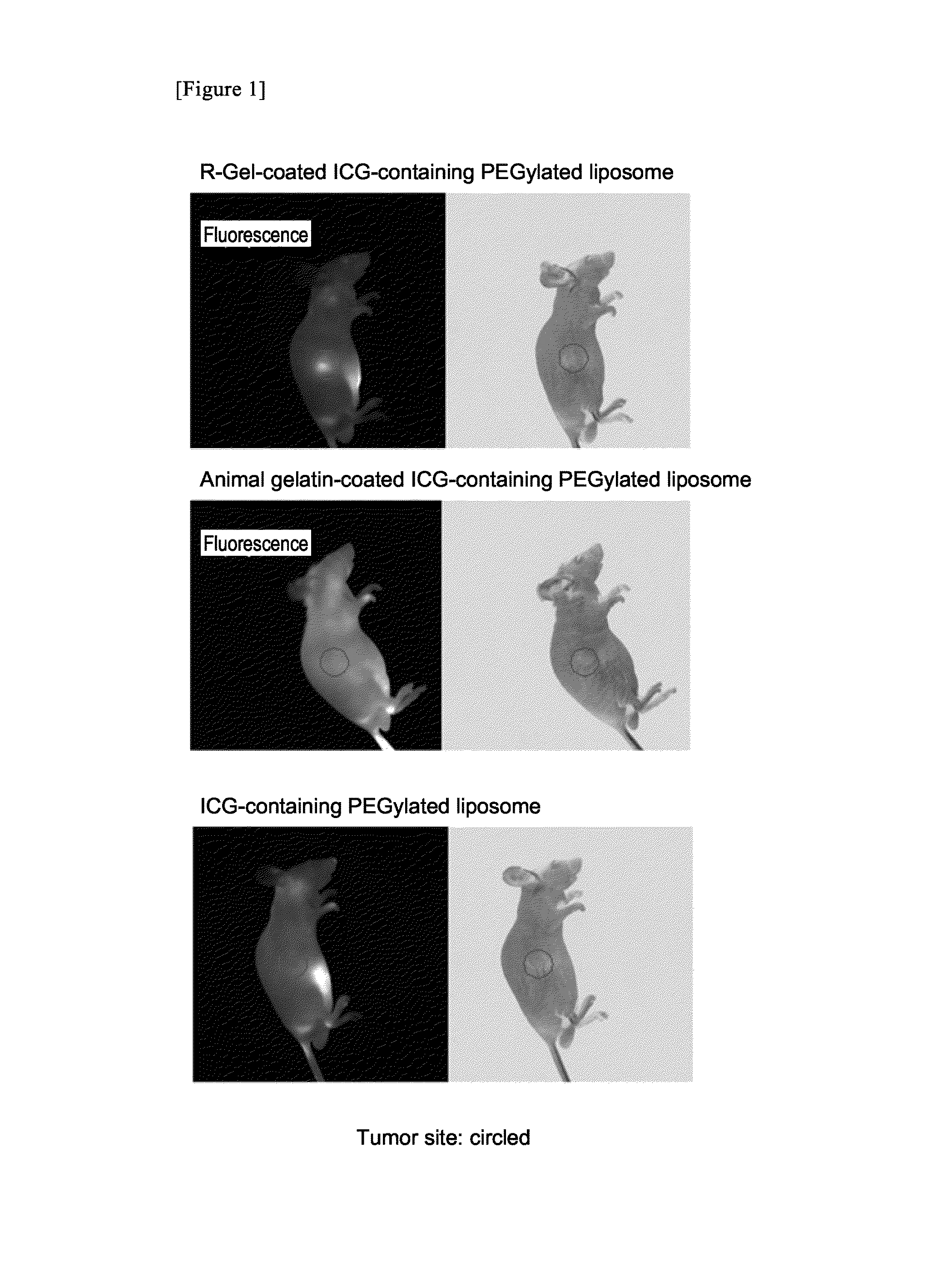 Targeting agent for tumor site