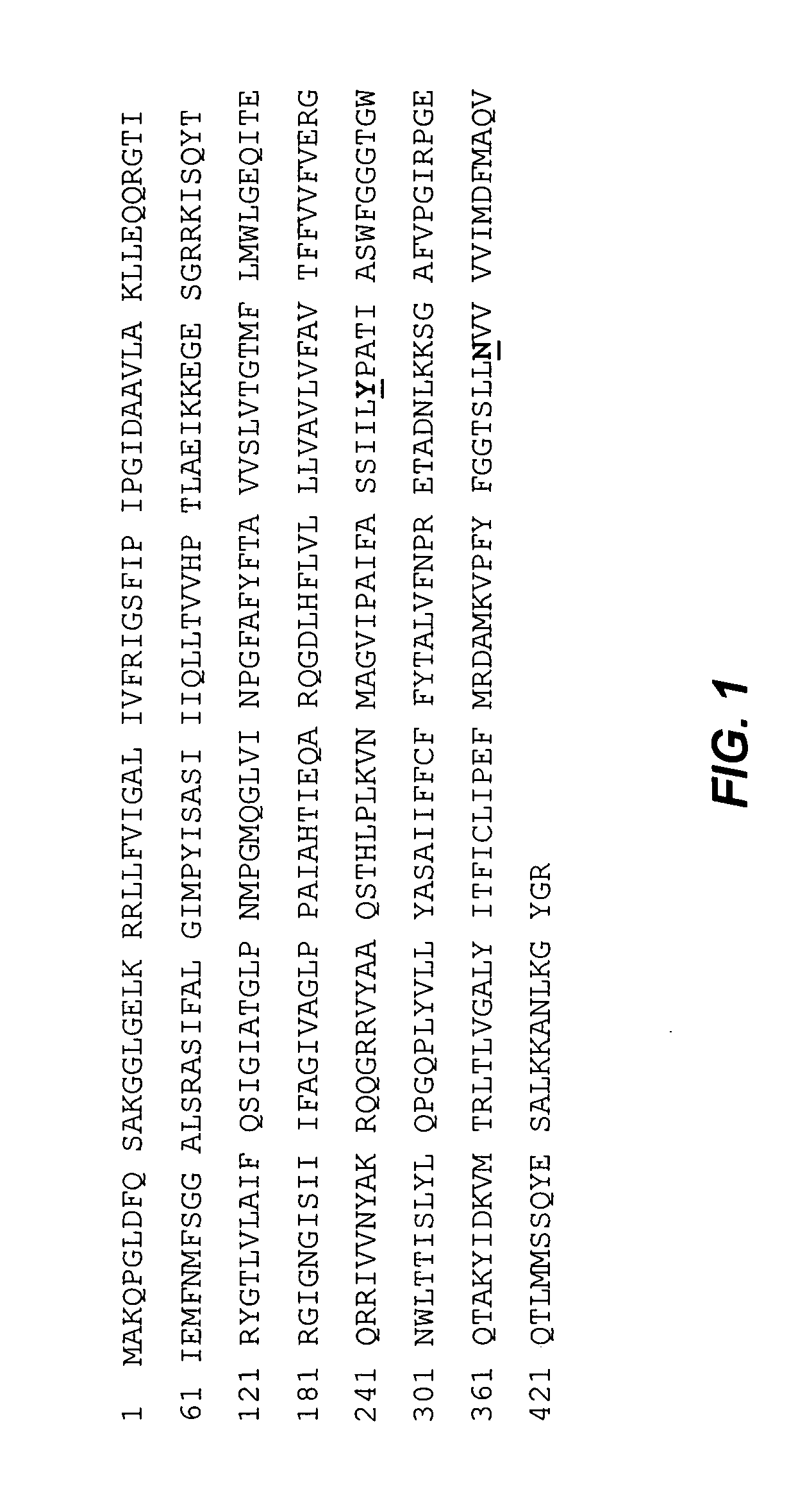 Secretion of antibodies without signal peptides from bacteria