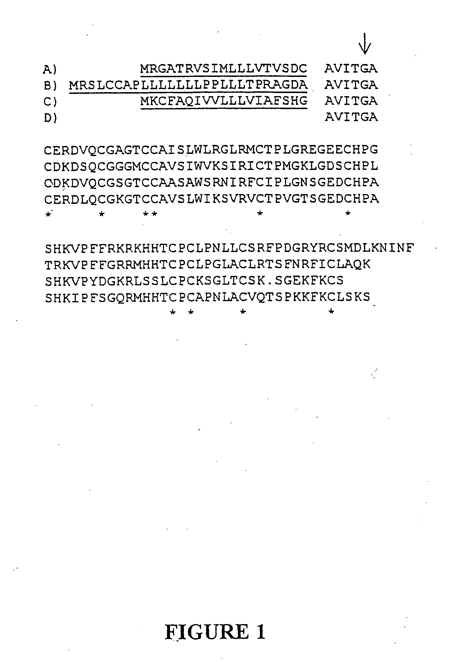 Prokineticin polypeptides, related compositions and methods