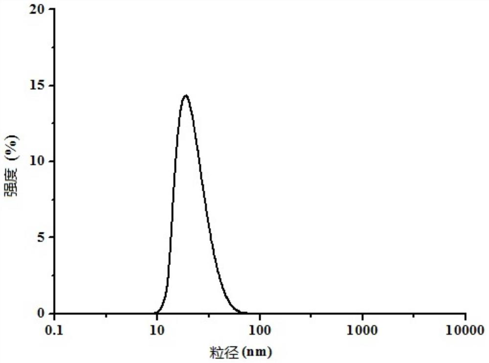 Lidocaine hydrochloride gel and preparation method thereof