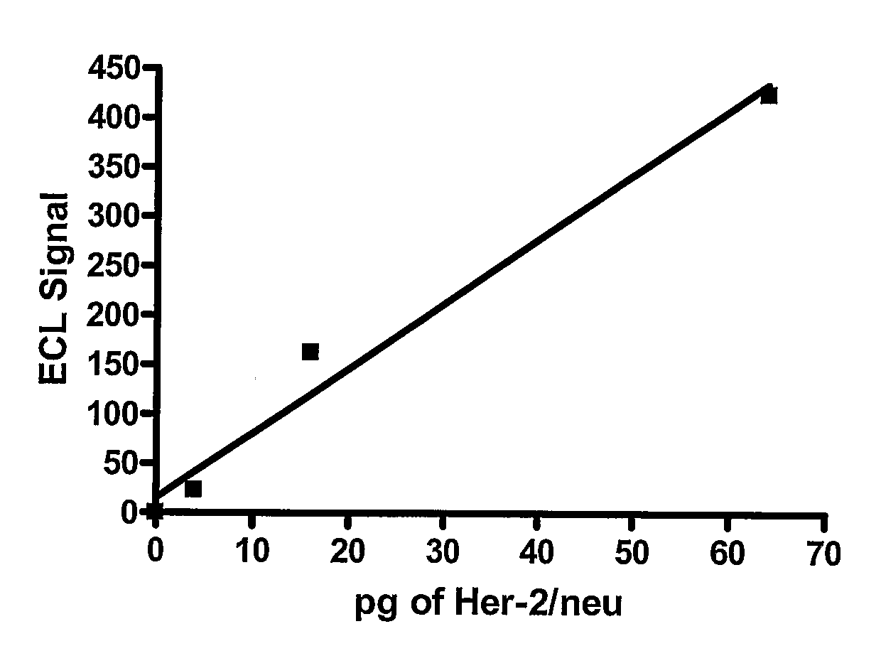 Detection of Elevated Levels of Her-2/Neu Protein on Circulating Cancer Cells and Treatment