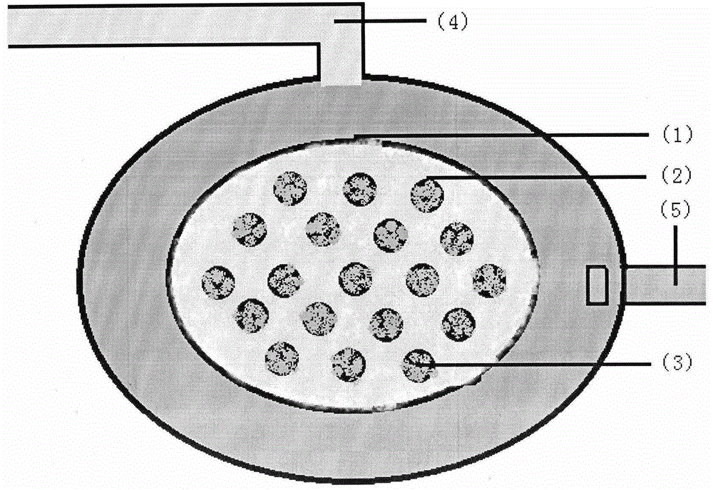 Drainage engineering construction method capable of achieving natural accumulating, permeating and purifying