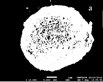 Polybasic layered oxide lithium ion battery material and preparation method thereof