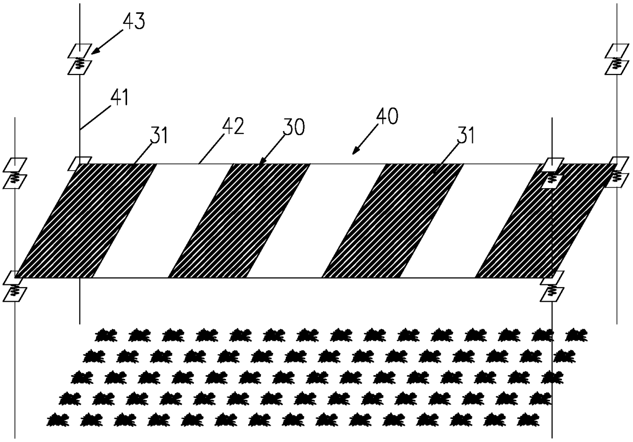 Submerged plant growth facilitating device based on natural light