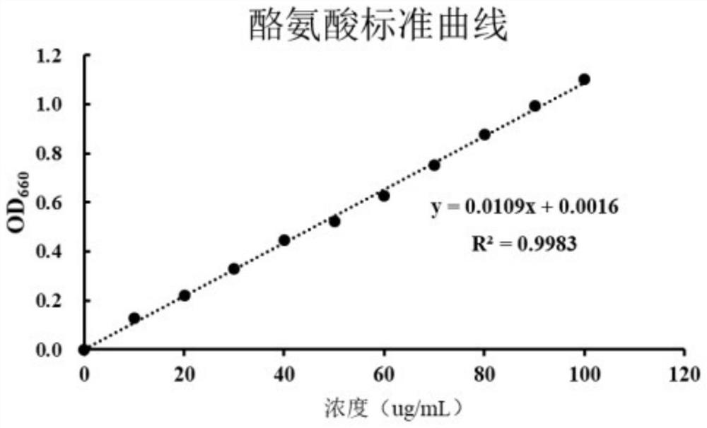 A microbacterium pt3 with protein degradation function and its application