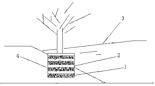 Method for biologically treating sewage through cation exchange, adsorption and filtering by using rice hull carbon