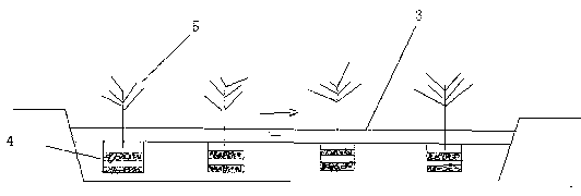 Method for biologically treating sewage through cation exchange, adsorption and filtering by using rice hull carbon