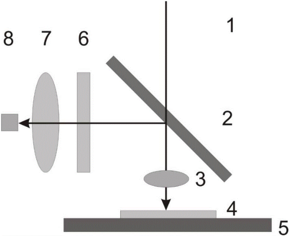 Upconversion-based luminous marker, protein chip and detection method