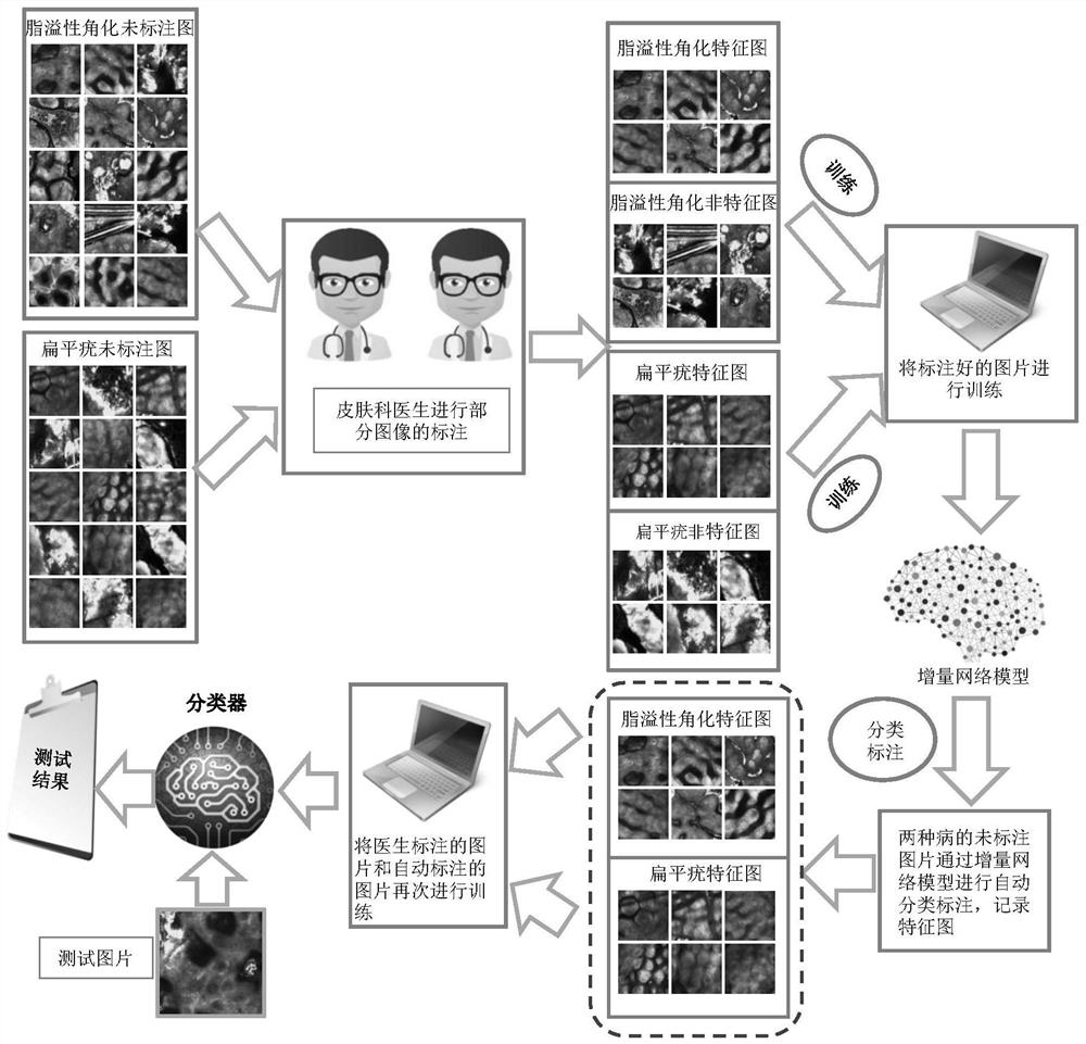 A classification method for seborrheic keratosis and flat wart