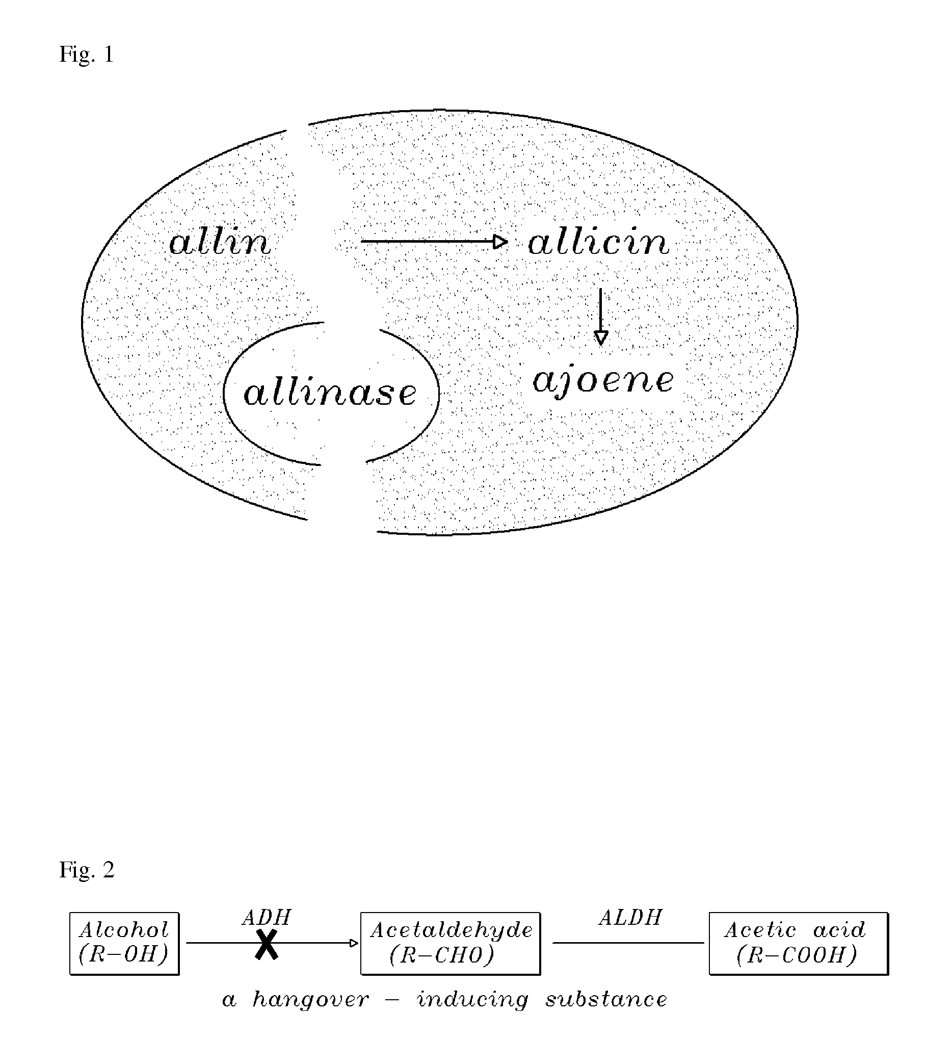 Method of using ajoene as alcohol dehydrogenase inhibitor, composition for removing hangover comprising ajoene and method of preparing the same