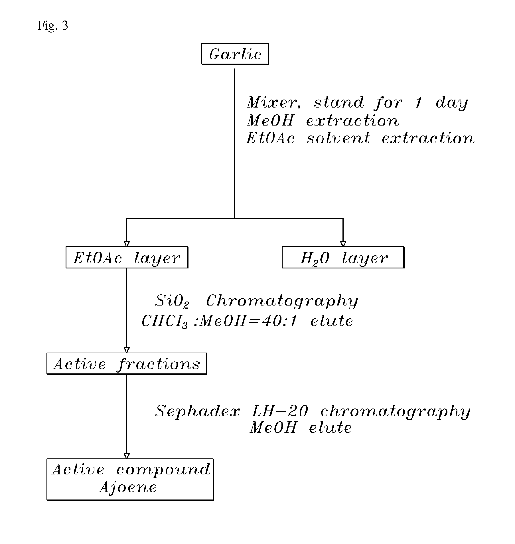 Method of using ajoene as alcohol dehydrogenase inhibitor, composition for removing hangover comprising ajoene and method of preparing the same