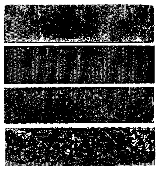 Acid rain corrosion resisting concrete additive and preparation method thereof