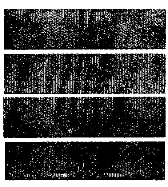 Acid rain corrosion resisting concrete additive and preparation method thereof