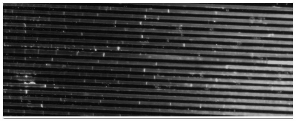 A full-spectrum perovskite nanowire array and its preparation method