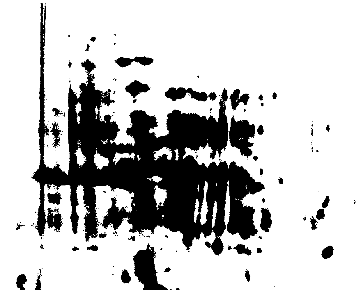 Extraction method of biofilm protein and preparation method of electrophoresis sample