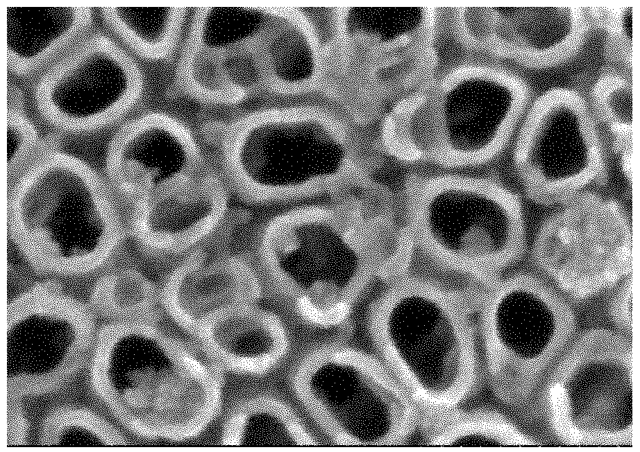 Method for preparing cuprous oxide composite titanium dioxide nanotube array