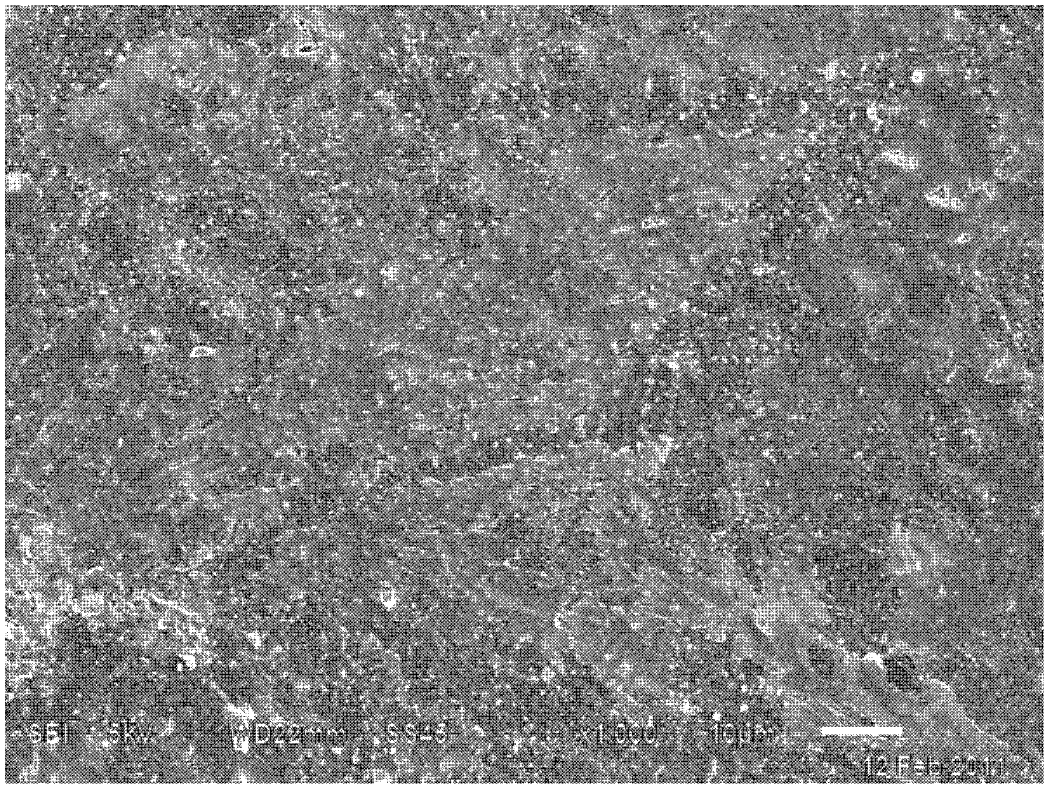 A method for preparing electrostatically self-assembled drug carried layer