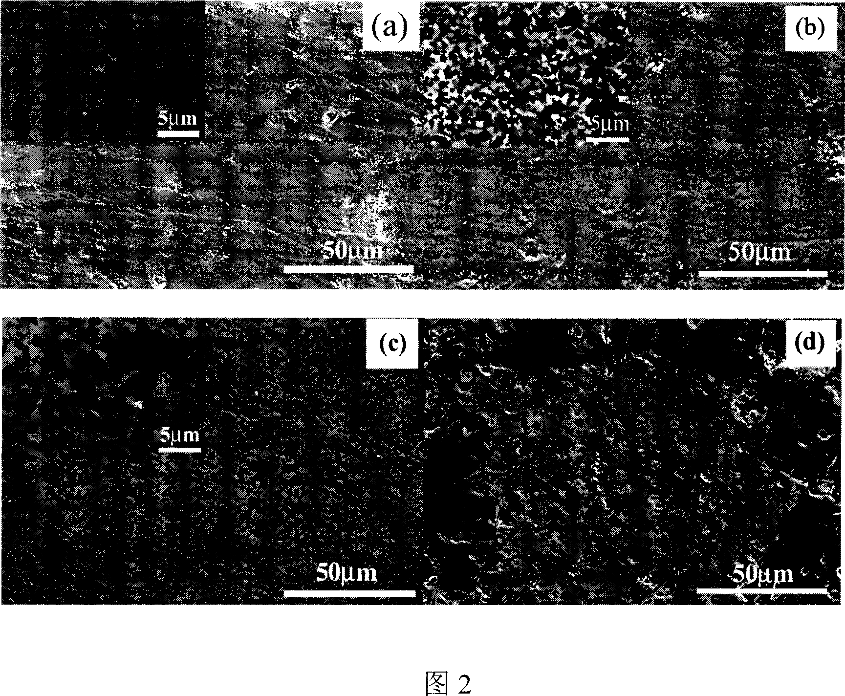 Preparation method of ferro-electricity/ferro-magnetism multiple phase ceramic