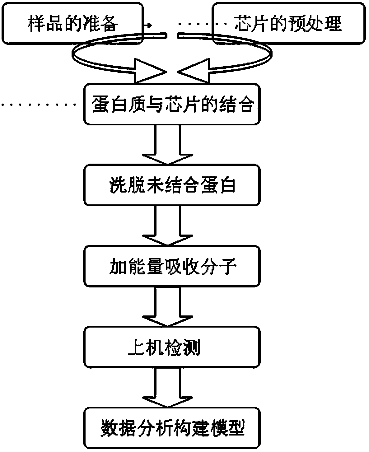 Saliva proteome decision-making tree diagnosis model for screening thyroid cancer, and construction method of tree