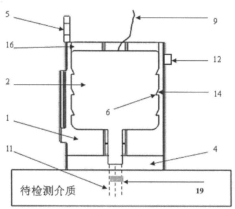 Composite probe for elasticity measurement