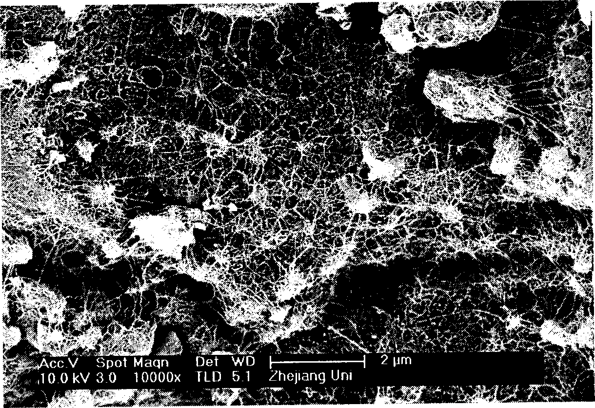 Catalyst of metallic oxide for preparing nanowall nano carbon pipe and preparation process thereof