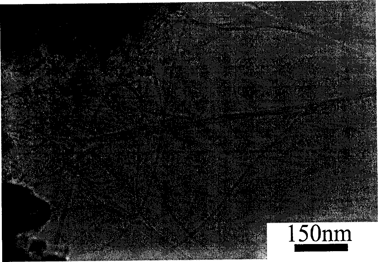 Catalyst of metallic oxide for preparing nanowall nano carbon pipe and preparation process thereof