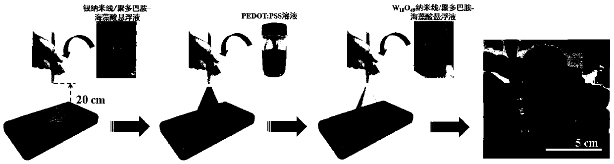 A kind of high flexibility and light weight w  <sub>18</sub> o  <sub>49</sub> Preparation method of electrochromic thin film