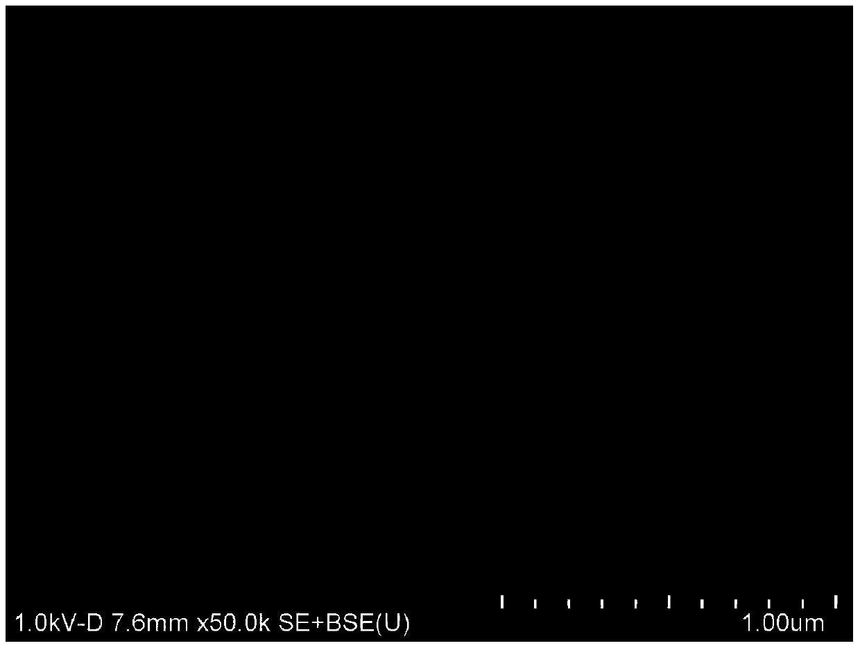 A kind of high flexibility and light weight w  <sub>18</sub> o  <sub>49</sub> Preparation method of electrochromic thin film