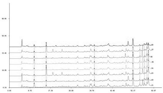 Method for detecting quality of south isatis root granules