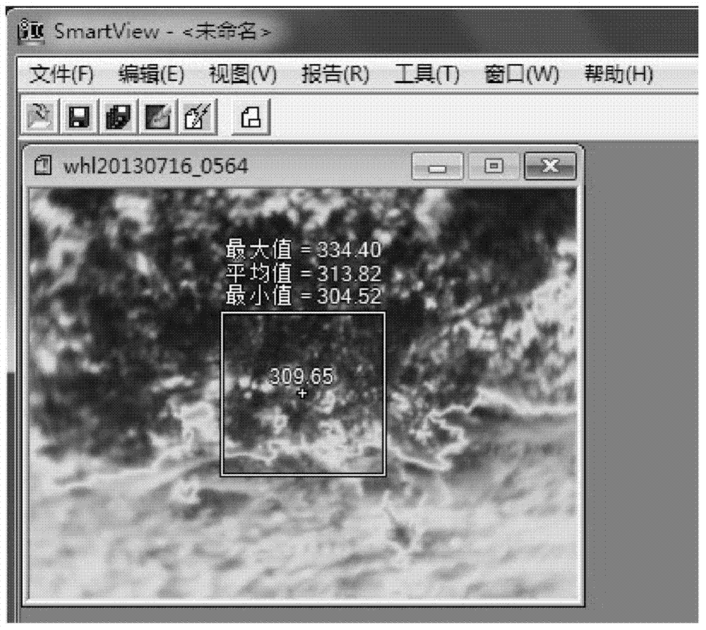 Plant health state detection method based on thermal imaging technology