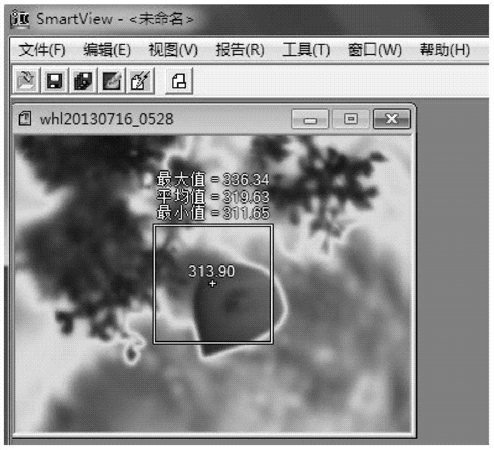 Plant health state detection method based on thermal imaging technology