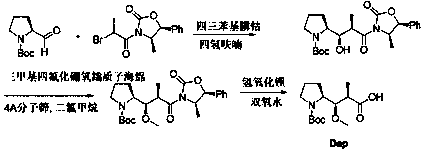 The synthetic method of n-boc-dolaproine and boc-dap DCHA