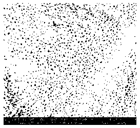 Method for preparing polymer porous membrane without solvent