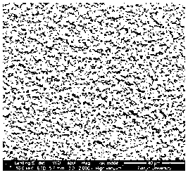 Method for preparing polymer porous membrane without solvent