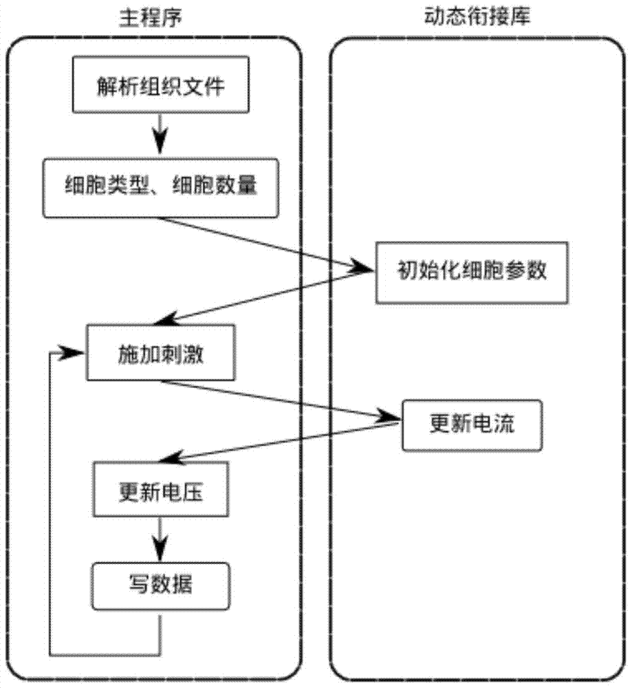 A driving virtual heart simulation method