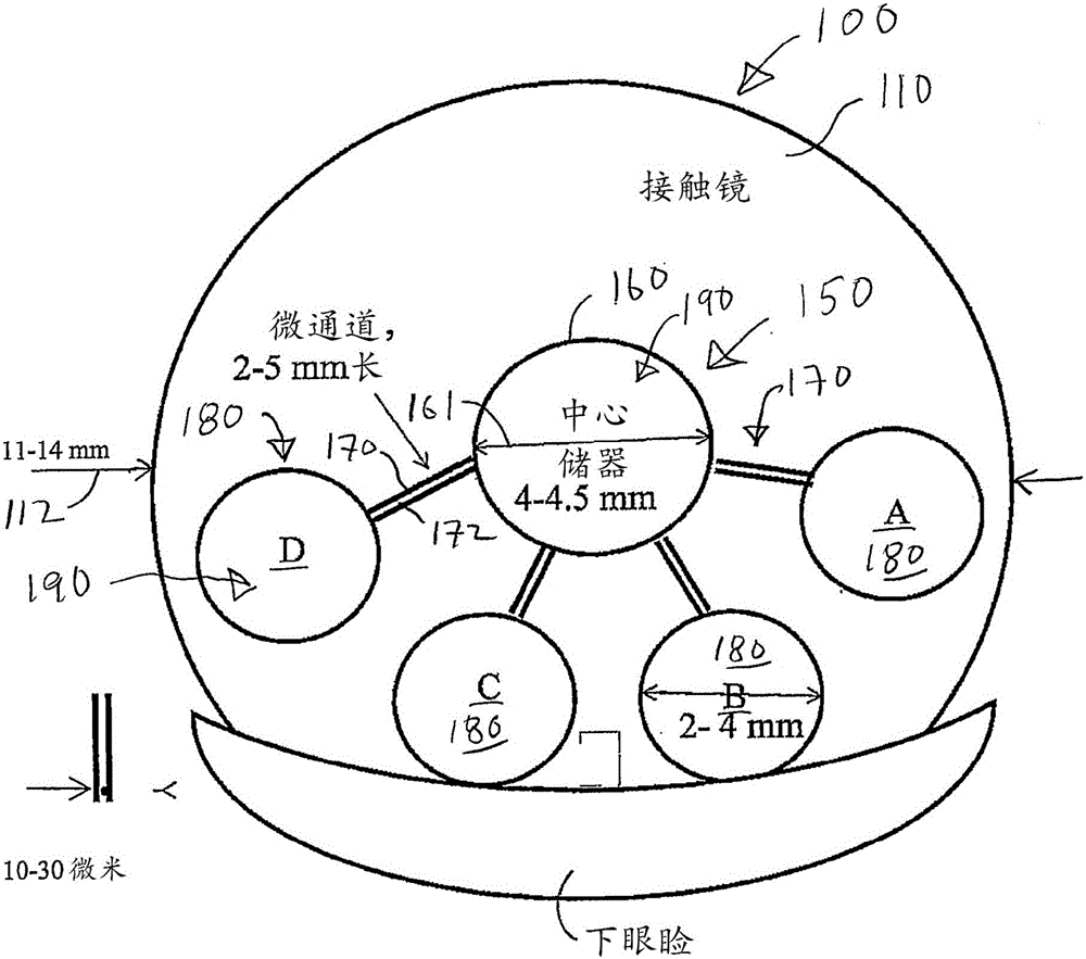 Accomodating soft contact lens