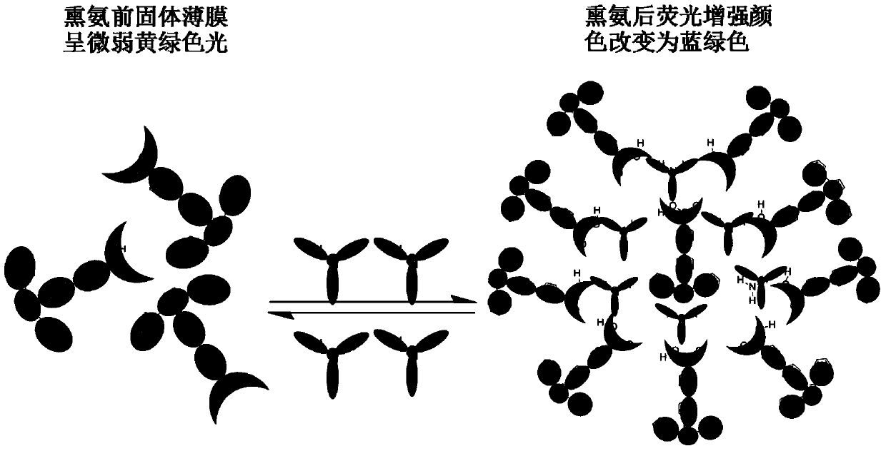 Fluorescent material capable of visual detection of ammonia gas as well as preparation method and application of fluorescent material