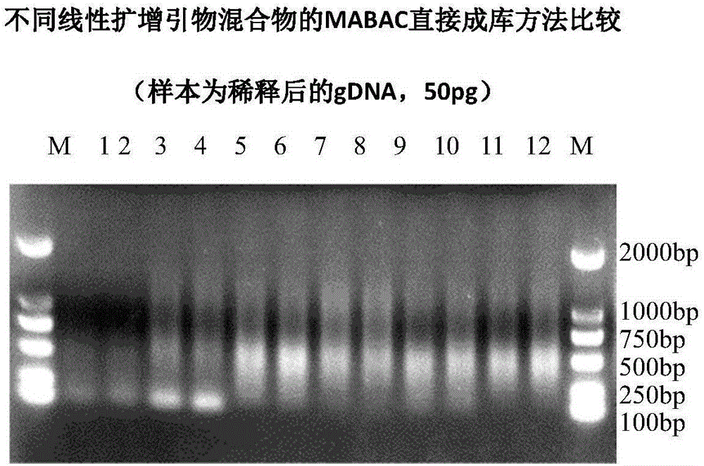 Method for amplifying DNA