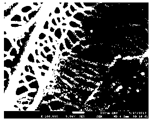 Phosphate nanofiber photocatalyst and preparation method thereof