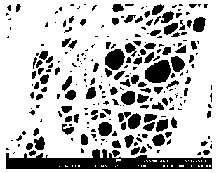 Phosphate nanofiber photocatalyst and preparation method thereof