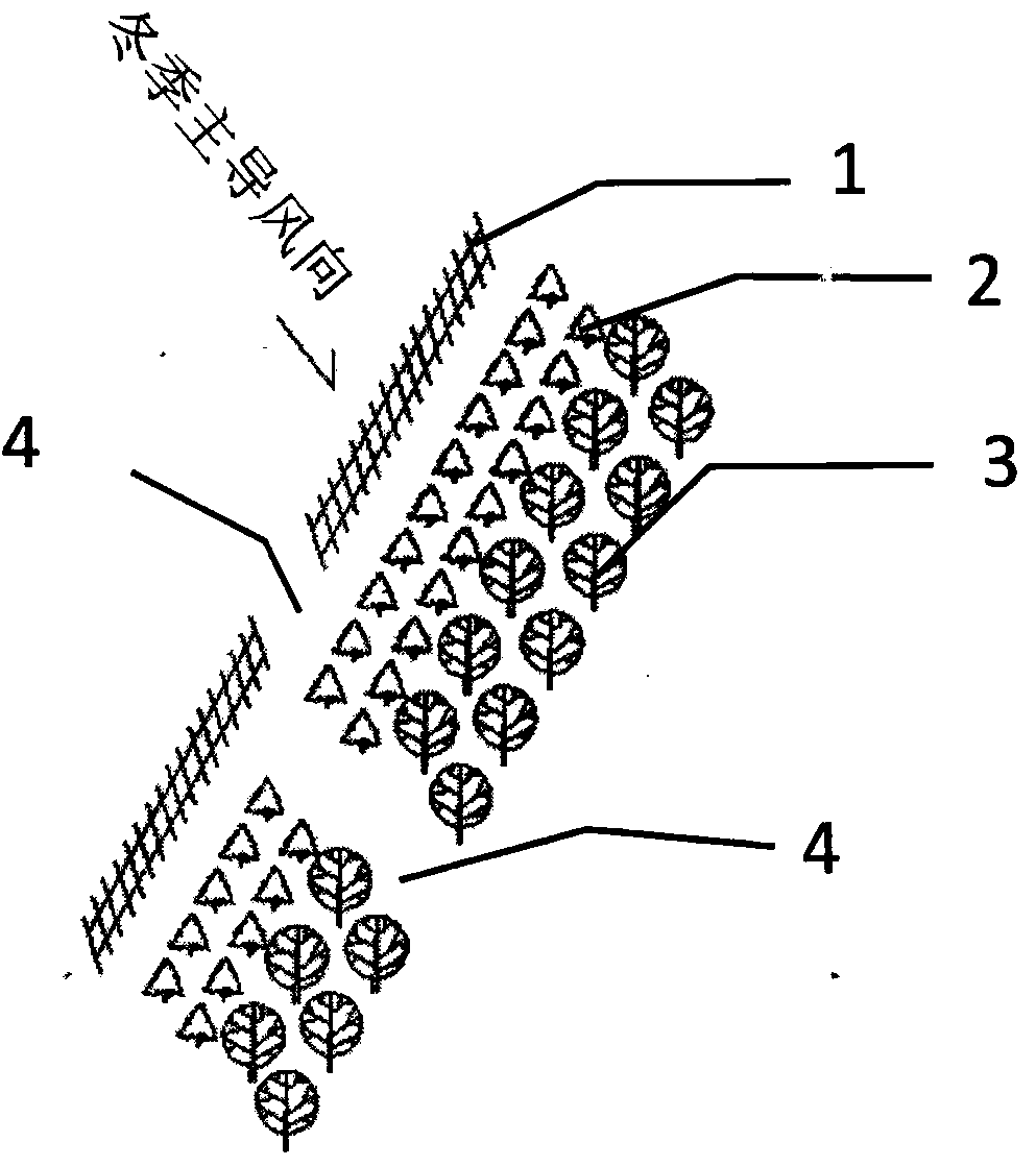 Ecological utilization method of Mongolian plateau grassland snow-driving wind