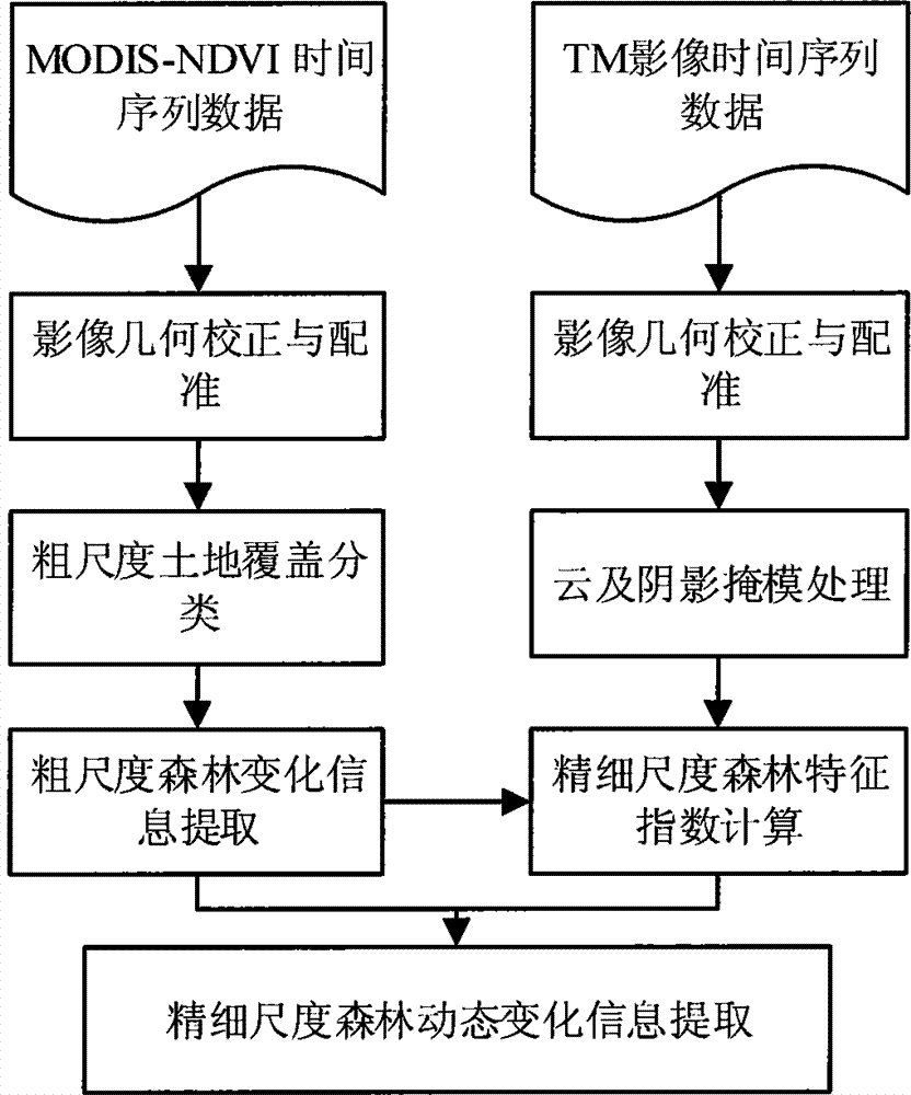 Multi-scale forest dynamic change monitoring method