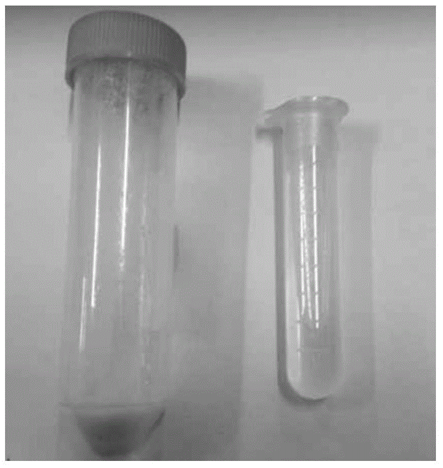 Method for preparing SiNCB ceramic material