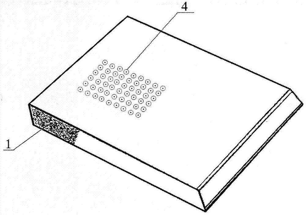 A kind of ecological plate and its manufacturing method