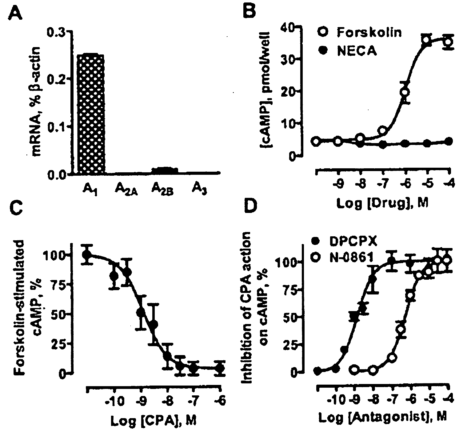 Use of adenosine receptor ligands to promote cell adhesion in cell-based therapies