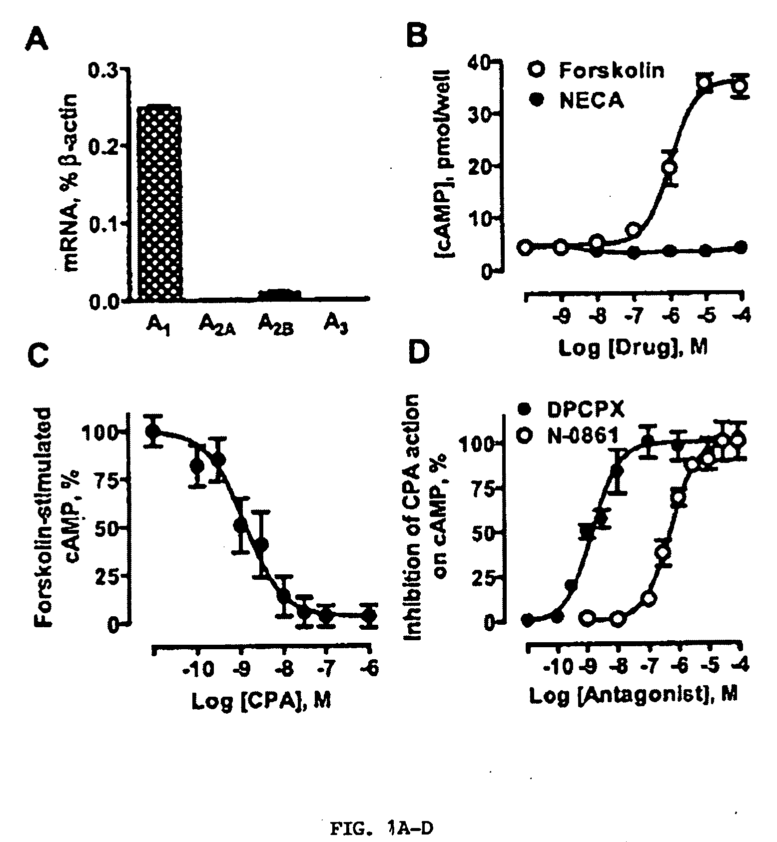 Use of adenosine receptor ligands to promote cell adhesion in cell-based therapies