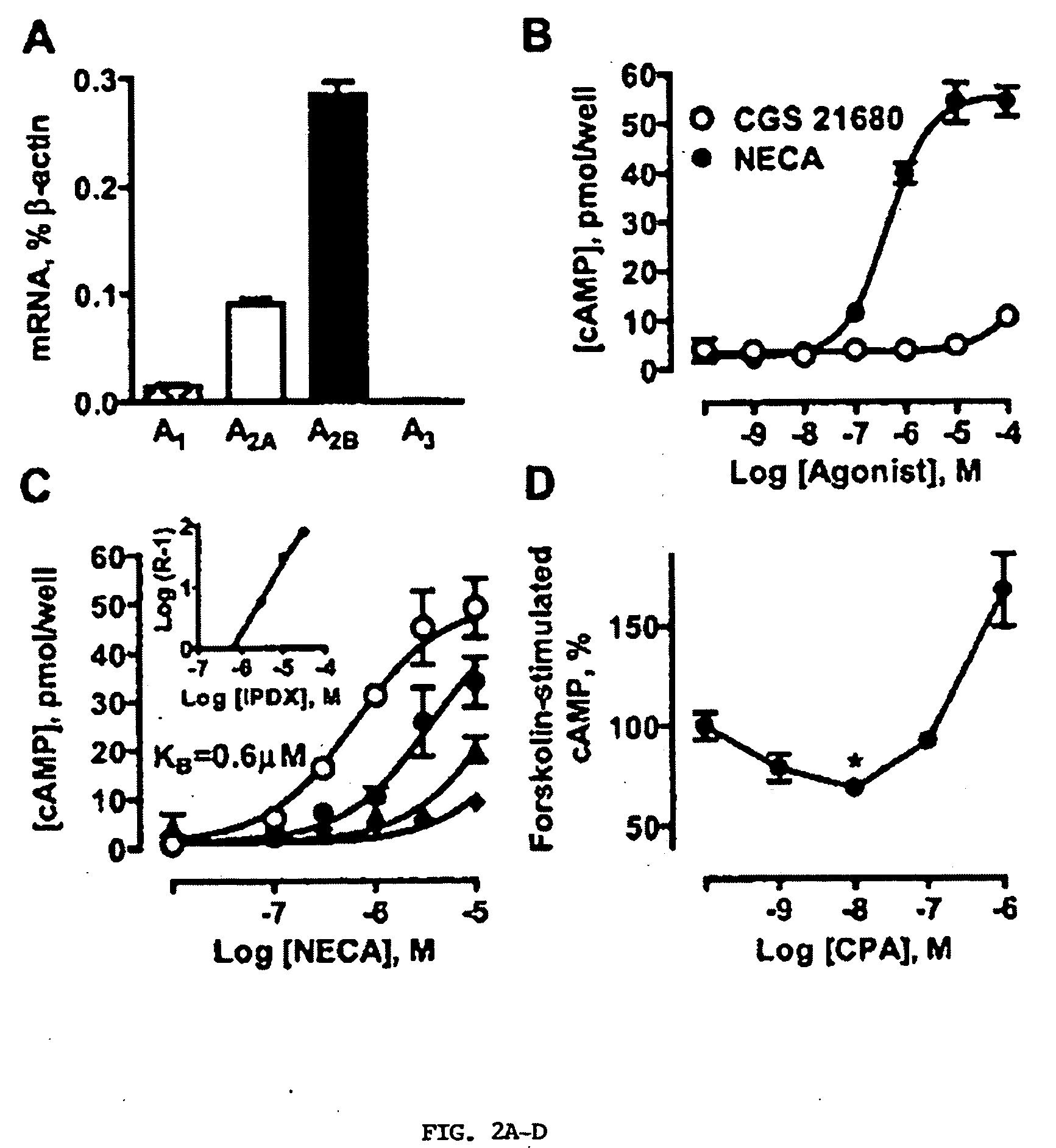 Use of adenosine receptor ligands to promote cell adhesion in cell-based therapies