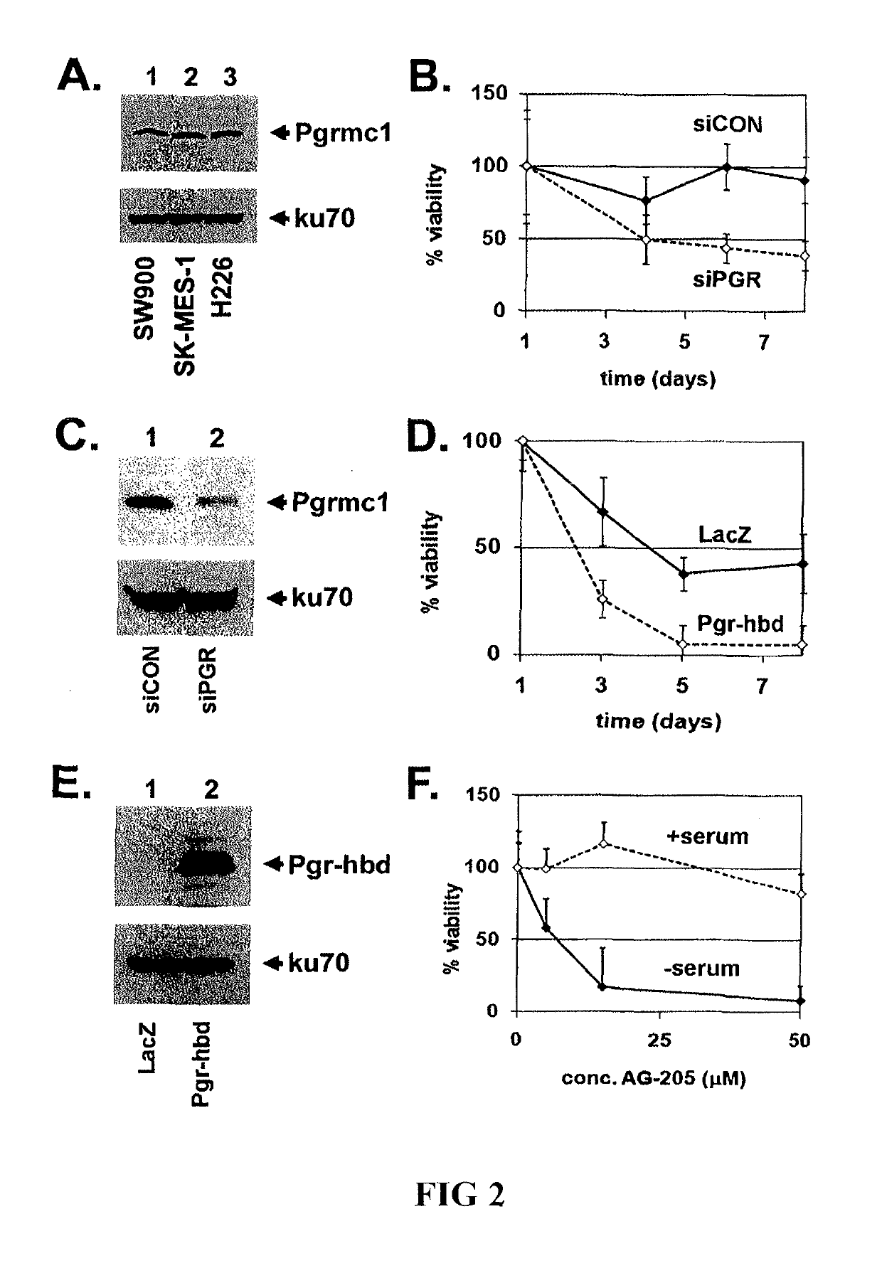 Secreted tumor-associated cytochrome as a blood-based biomarker for cancer